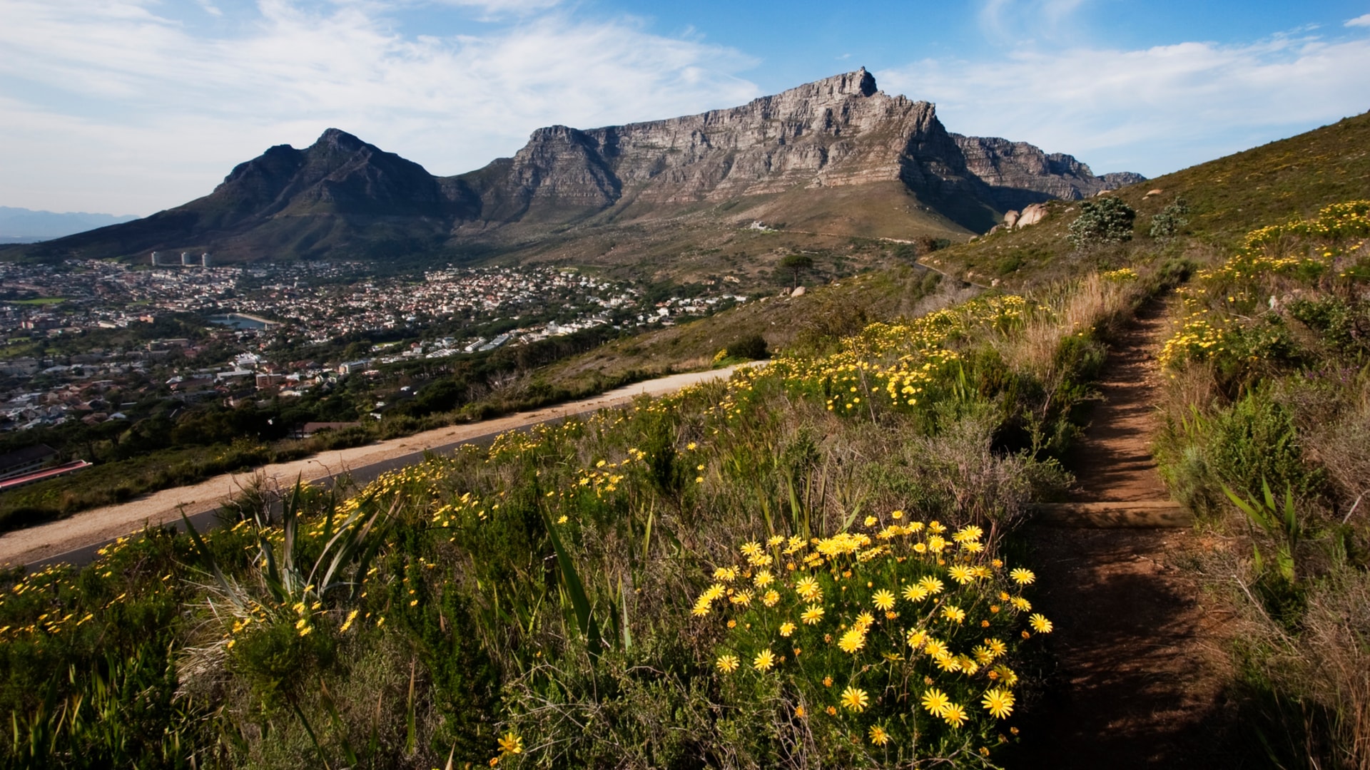 Table Mountain